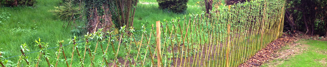 ammenagement à Besançon